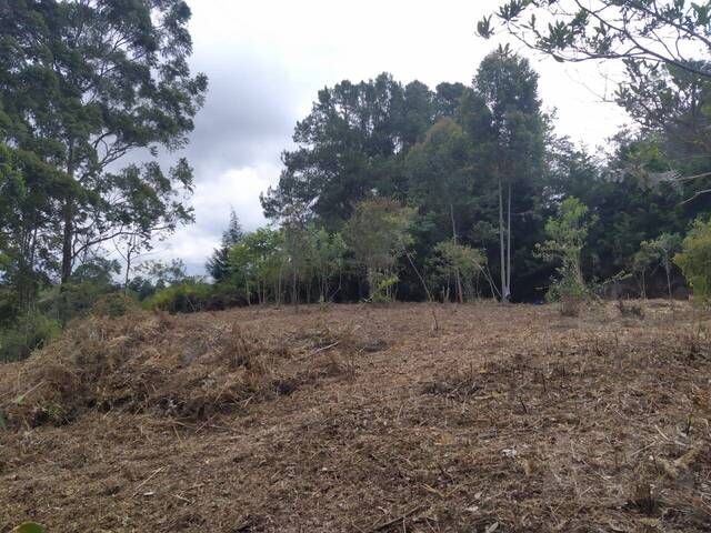 #4655 - Terreno para Venta en Rionegro - ANT - 2