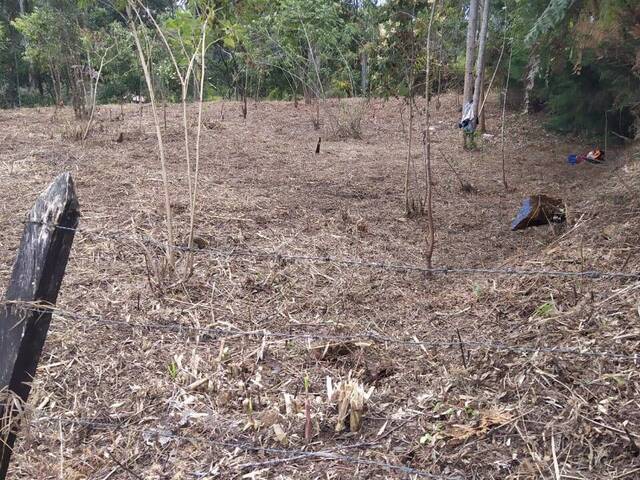 #4654 - Terreno para Venta en Rionegro - ANT - 3