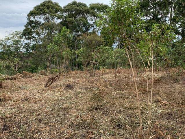 Terreno para Venta en Rionegro - 5