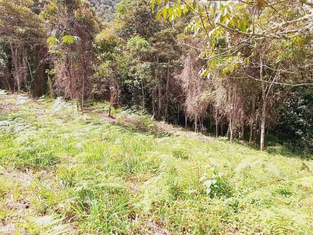 #4649 - Terreno para Venta en Rionegro - ANT