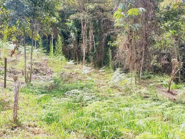 #4649 - Terreno para Venta en Rionegro - ANT