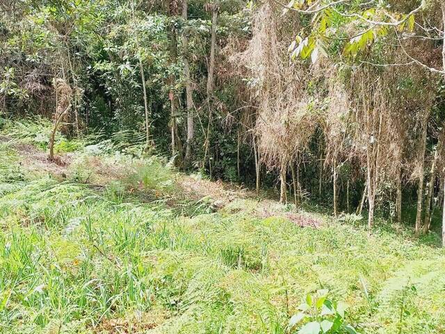 #4649 - Terreno para Venta en Rionegro - ANT - 3