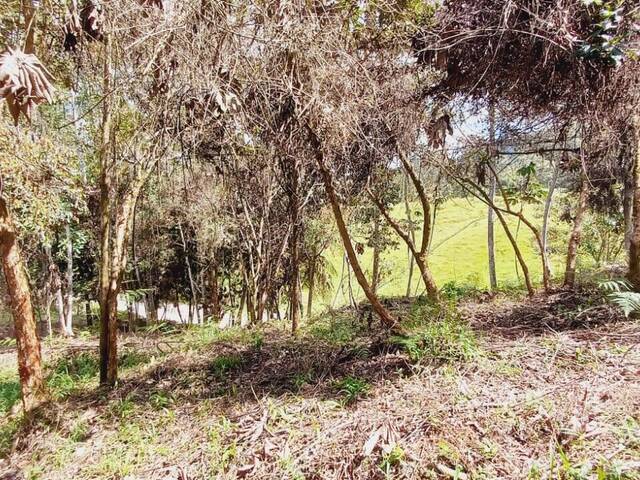 #4650 - Terreno para Venta en Rionegro - ANT - 2