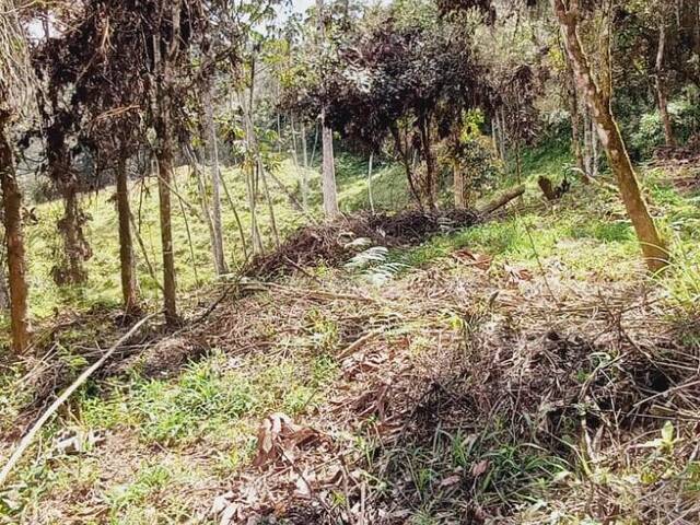 #4650 - Terreno para Venta en Rionegro - ANT - 3