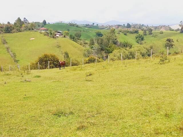 #4651 - Terreno para Venta en Carmen de Viboral - ANT - 1