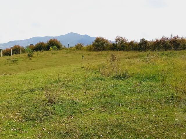 Terreno para Venta en Carmen de Viboral - 4
