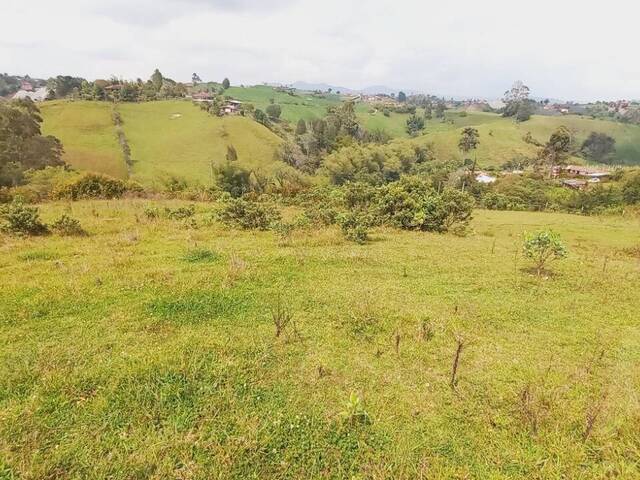 Terreno para Venta en Carmen de Viboral - 5
