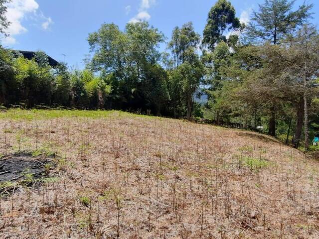 Terreno para Venta en La Ceja - 5