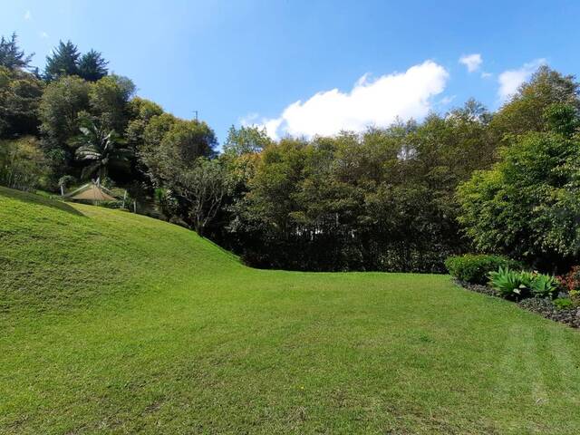 Finca para Venta en Rionegro - 4