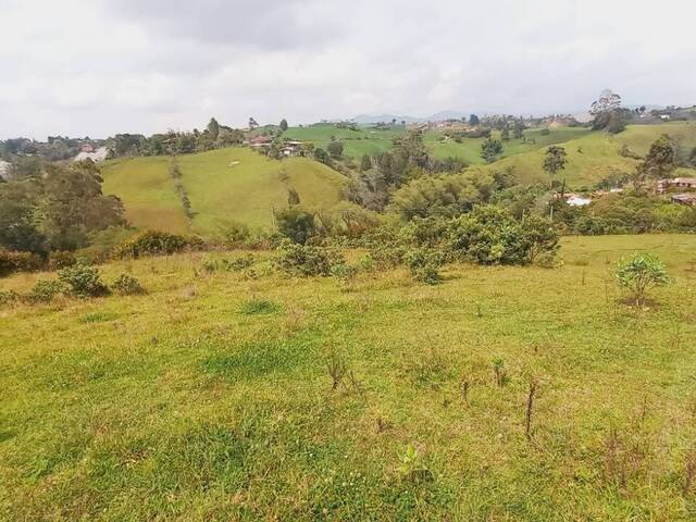 Terreno para Venta en Carmen de Viboral - 4