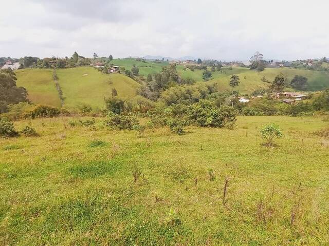 Terreno para Venta en Carmen de Viboral - 5