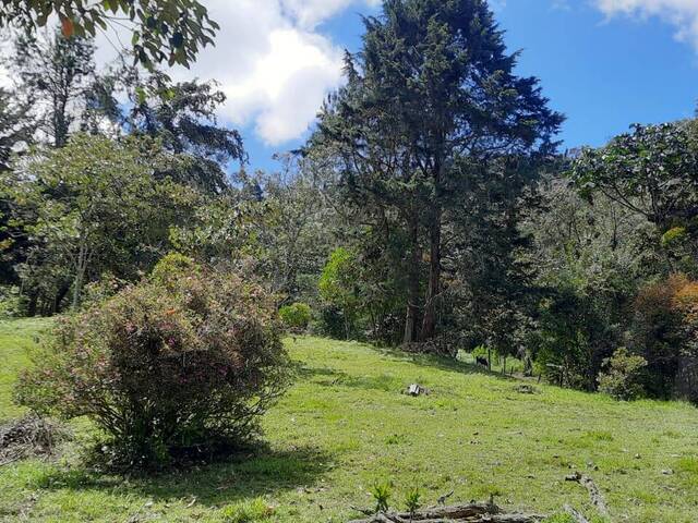 #4648 - Terreno para Venta en Rionegro - ANT - 2