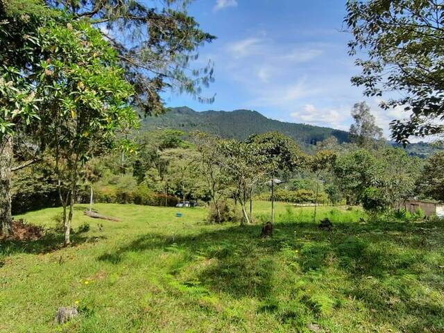 Terreno para Venta en Rionegro - 5