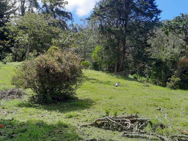 Terreno para Venta en Rionegro - 4