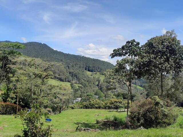 #4648 - Terreno para Venta en Rionegro - ANT - 3