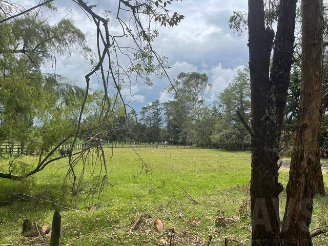 Venta en Vilachuaga - Rionegro