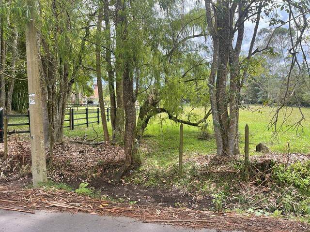 Venta en Vilachuaga - Rionegro