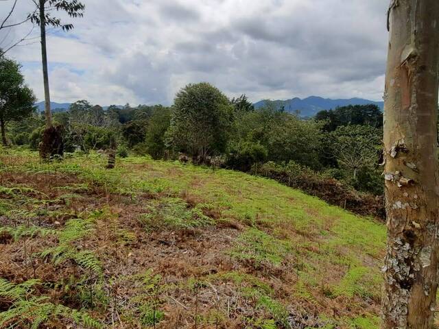 Terreno para Venta en Carmen de Viboral - 4