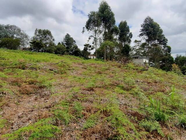 Terreno para Venta en Carmen de Viboral - 5