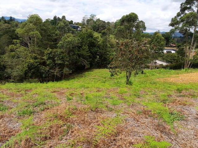 Terreno para Venta en Carmen de Viboral - 4