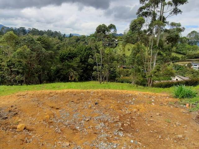 Terreno para Venta en Carmen de Viboral - 5