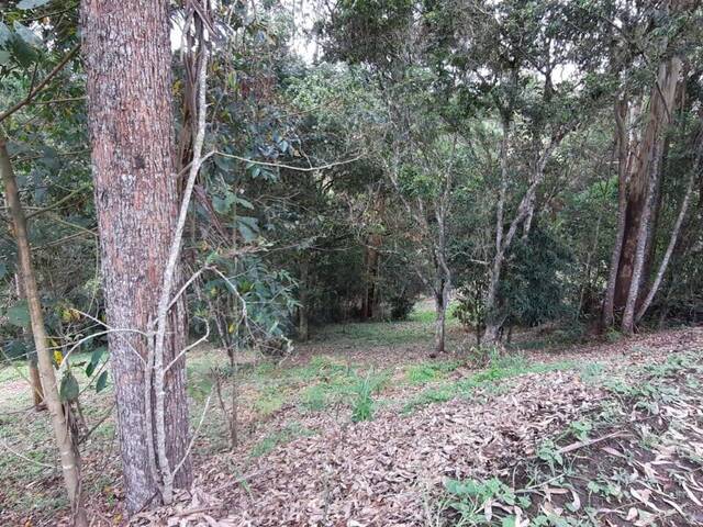 Terreno para Venta en Carmen de Viboral - 4