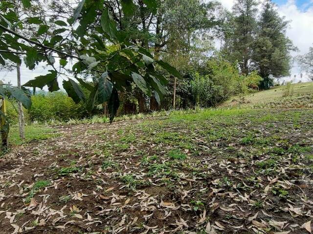 Terreno para Venta en Carmen de Viboral - 5