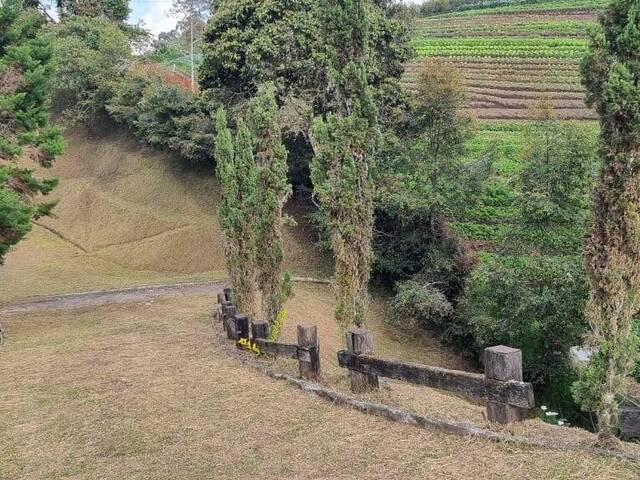 Terreno para Venta en Rionegro - 4