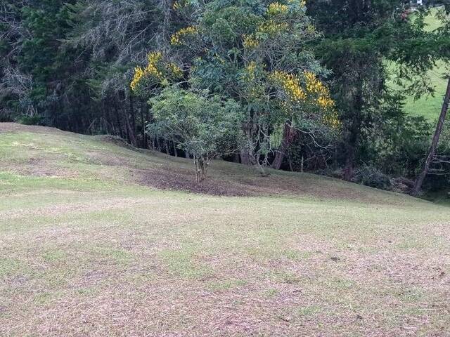 Terreno para Venta en Carmen de Viboral - 5