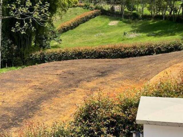 Terreno para Venta en Carmen de Viboral - 4