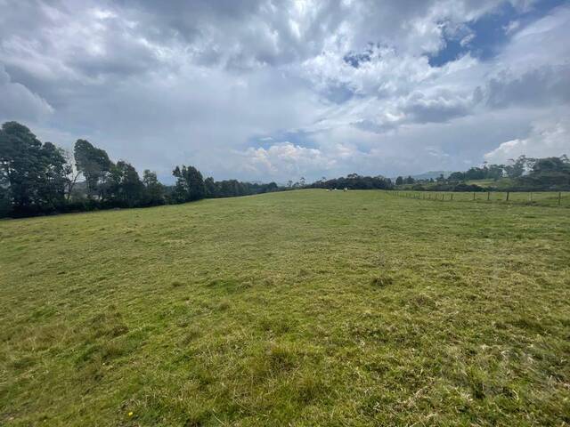 #4672 - Terreno para Venta en Envigado - ANT - 1