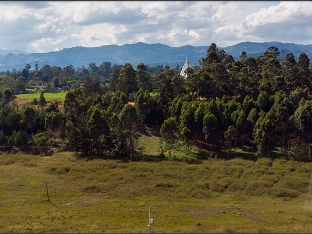 #4718 - Terreno para Venta en Rionegro - ANT - 2