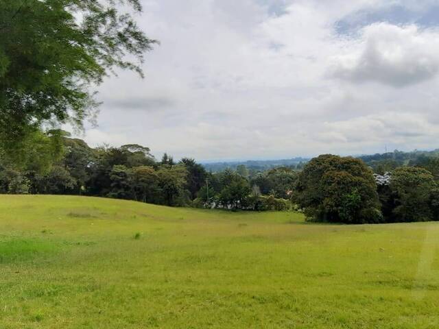 Terreno para Venta en La Ceja - 4