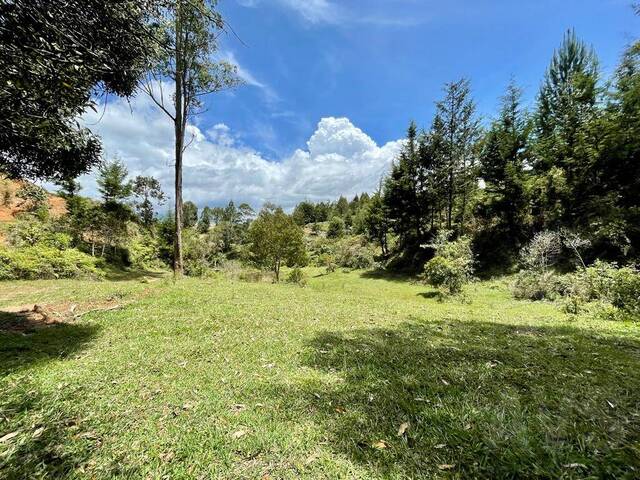 #4732 - Terreno para Venta en Guarne - ANT - 1