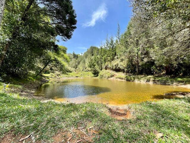 Terreno para Venta en Guarne - 5