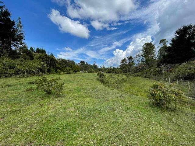 Terreno para Venta en Guarne - 4