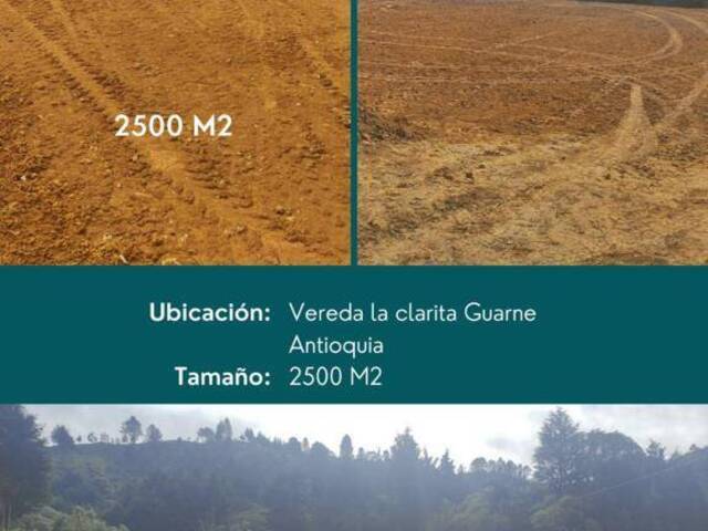 #4745 - Terreno para Venta en Guarne - ANT - 3