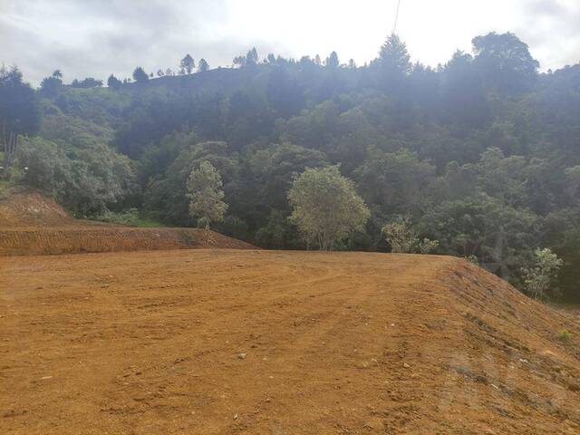 Terreno para Venta en Guarne - 5