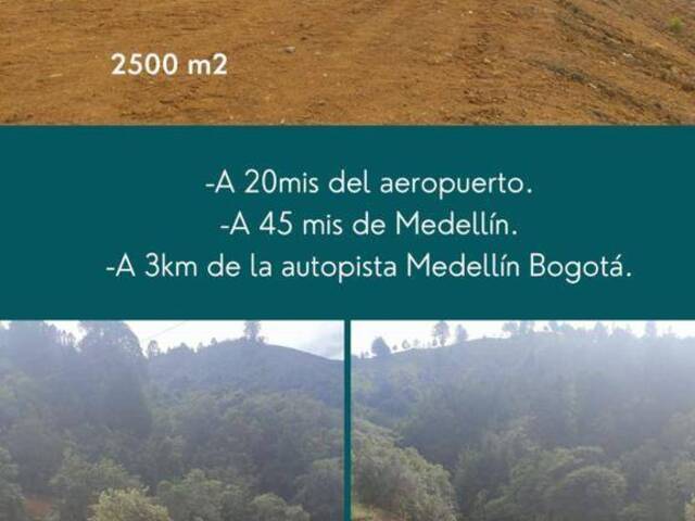 Terreno para Venta en Guarne - 4