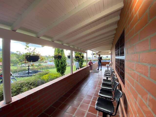 Finca para Venta en Carmen de Viboral - 4