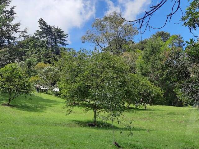 Terreno para Venta en Retiro - 5