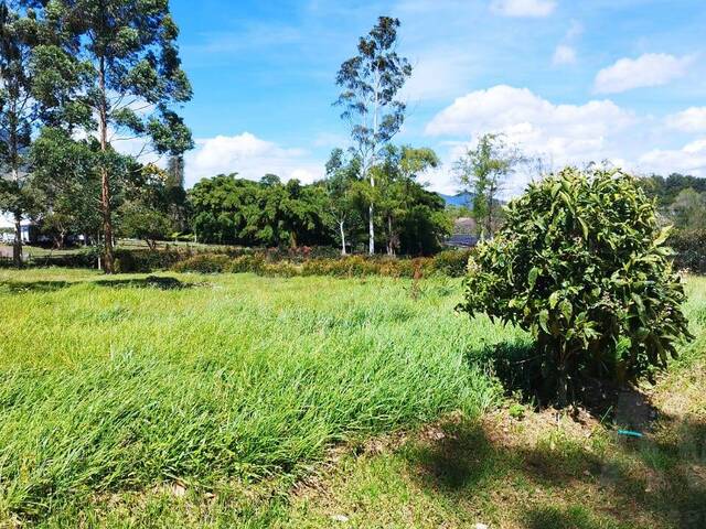 Terreno para Venta en La Ceja - 4