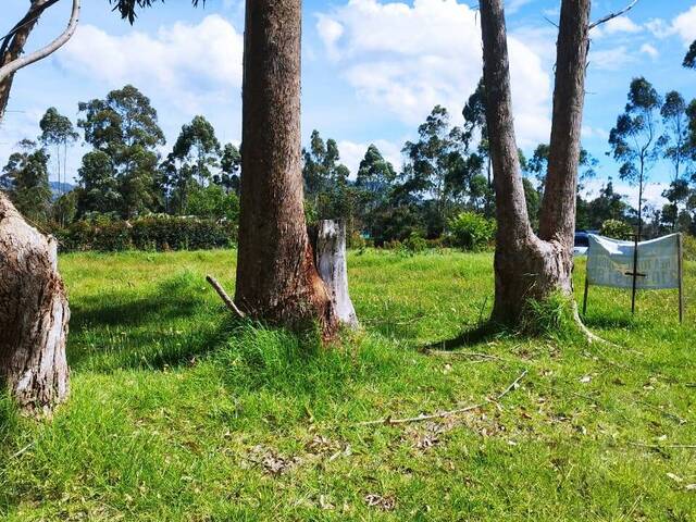 Terreno para Venta en La Ceja - 5