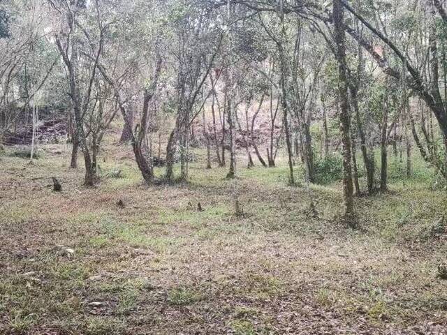 #4811 - Terreno para Venta en Guarne - ANT - 2