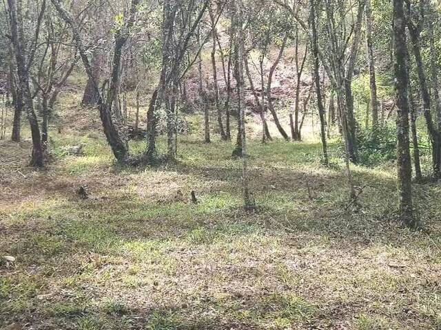 Terreno para Venta en Guarne - 5