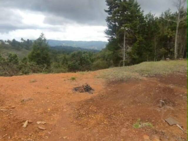 #4811 - Terreno para Venta en Guarne - ANT - 1