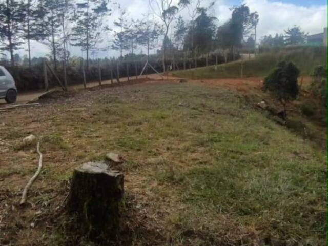 Terreno para Venta en Guarne - 4