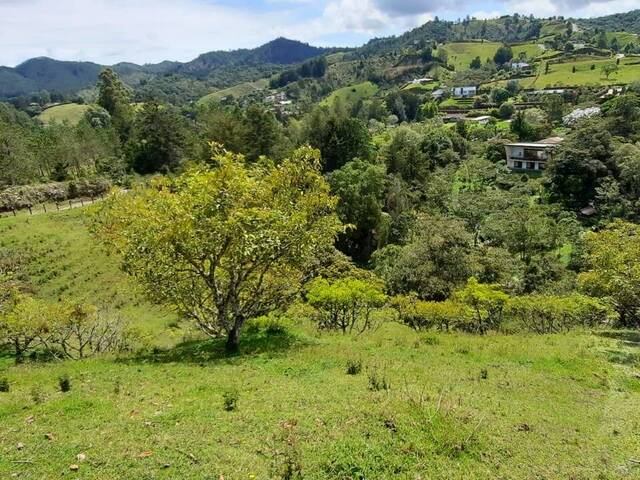 Terreno para Venta en Retiro - 4