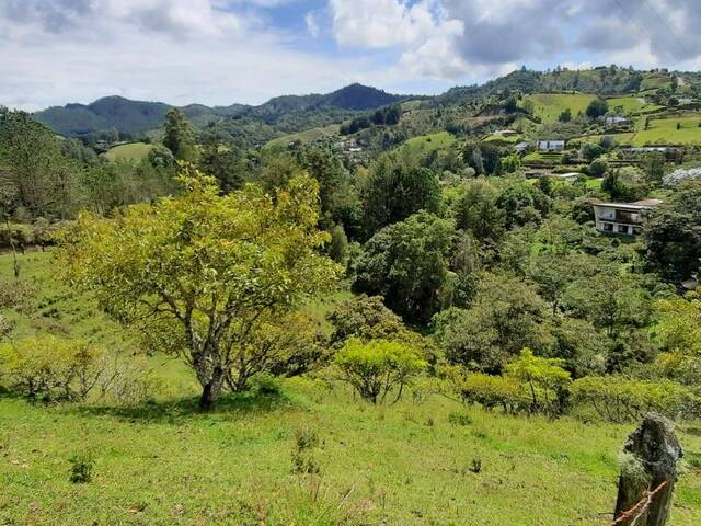 Terreno para Venta en Retiro - 5