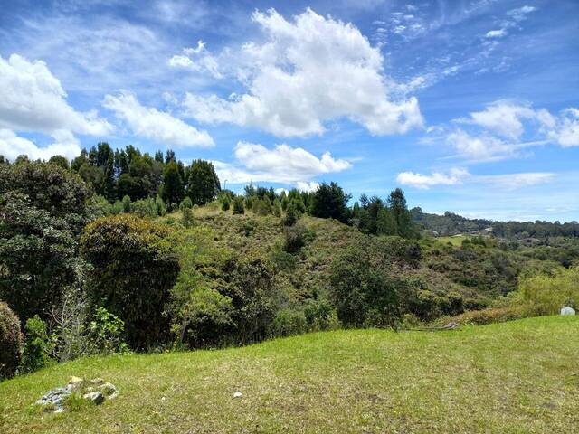 #4813 - Terreno para Venta en Envigado - ANT - 3